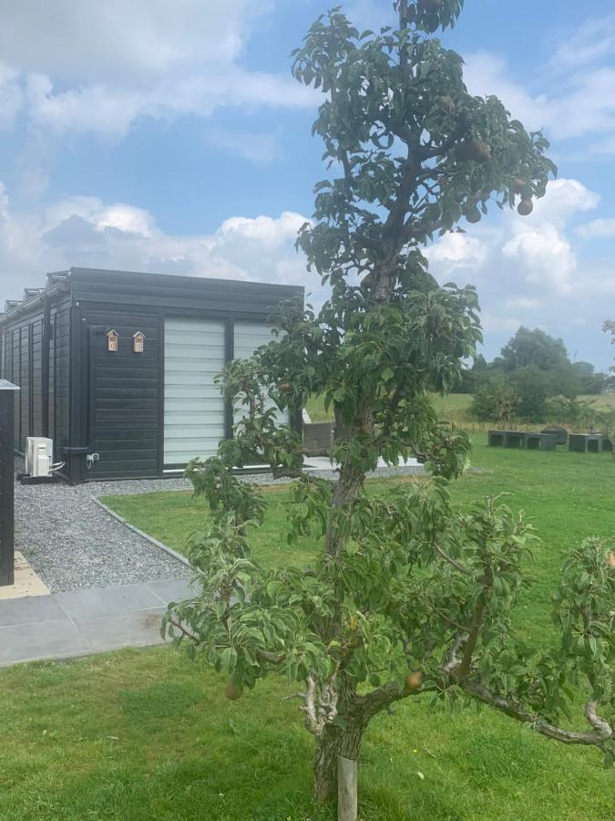 Droom Aan De Linge Wadenoijen Esterno foto