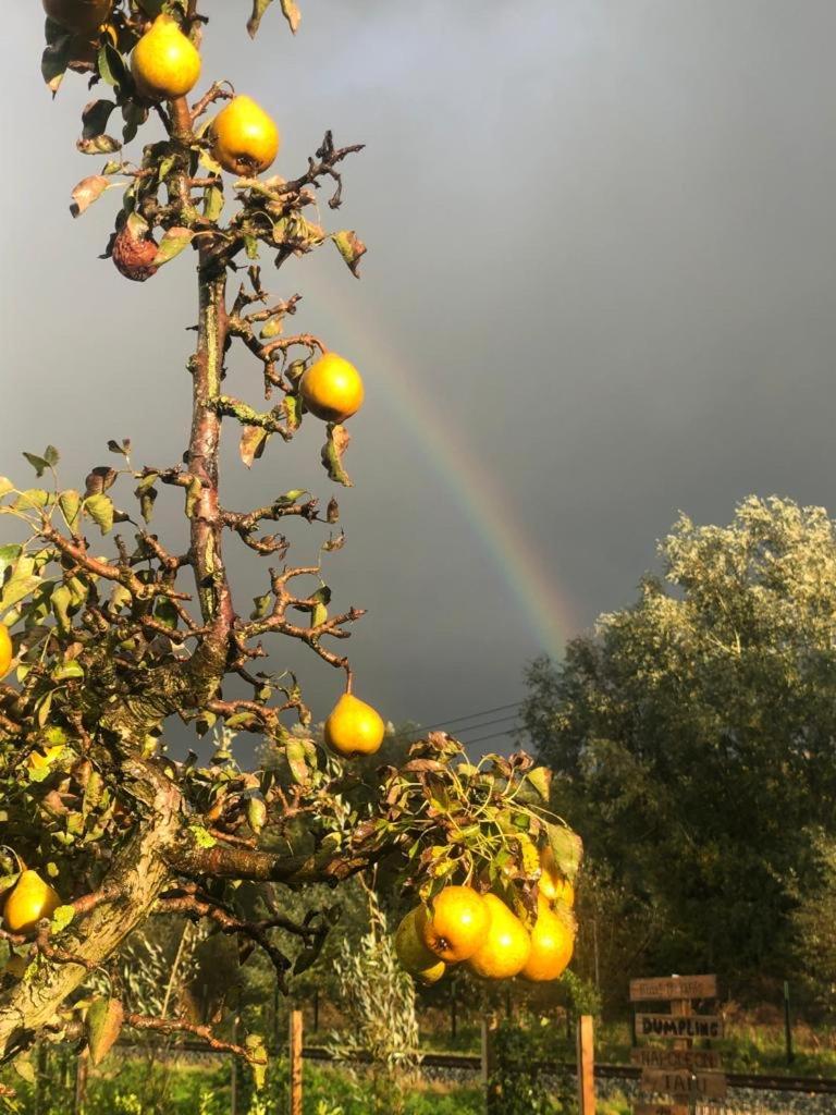 Droom Aan De Linge Wadenoijen Esterno foto