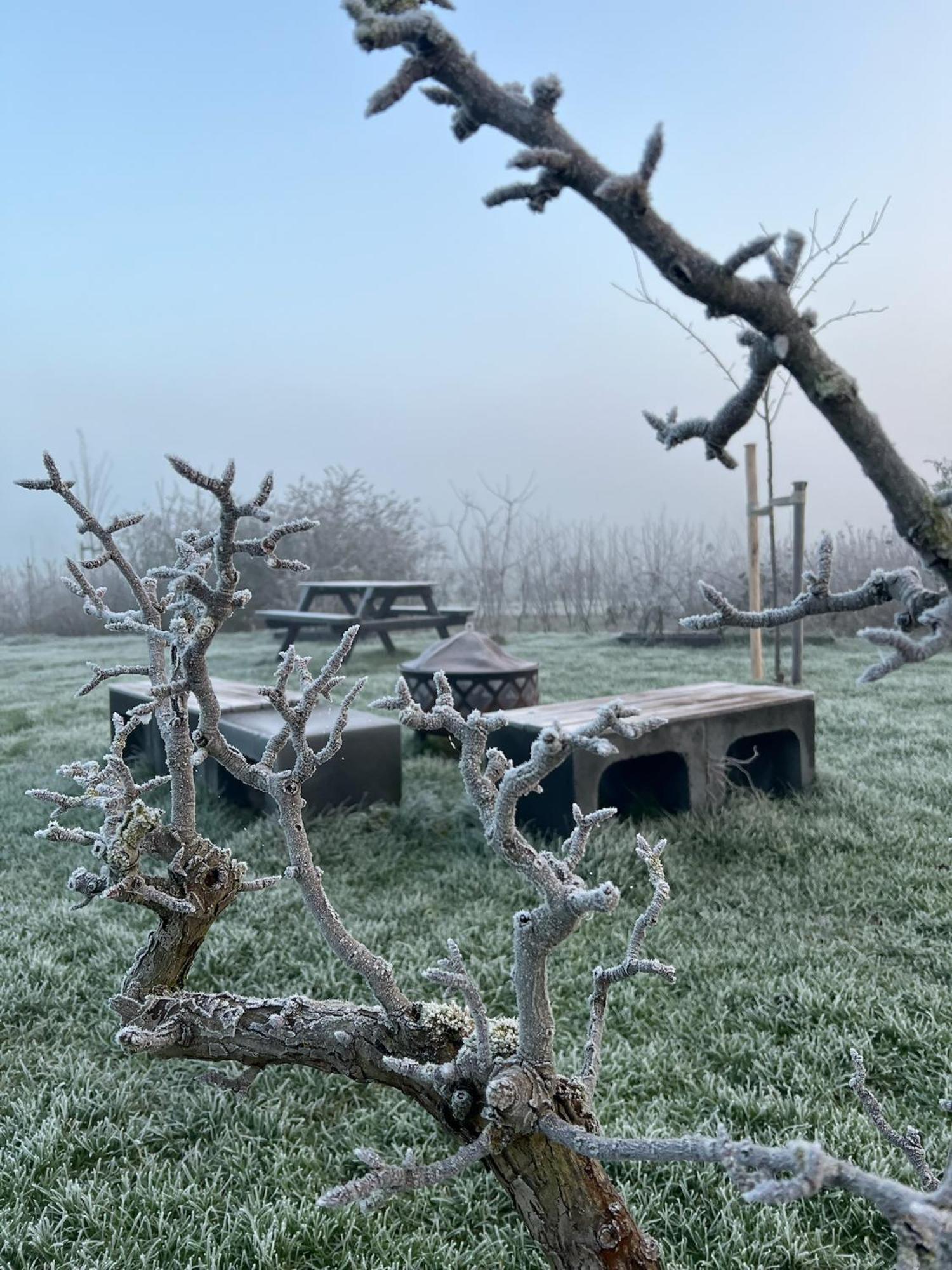 Droom Aan De Linge Wadenoijen Esterno foto